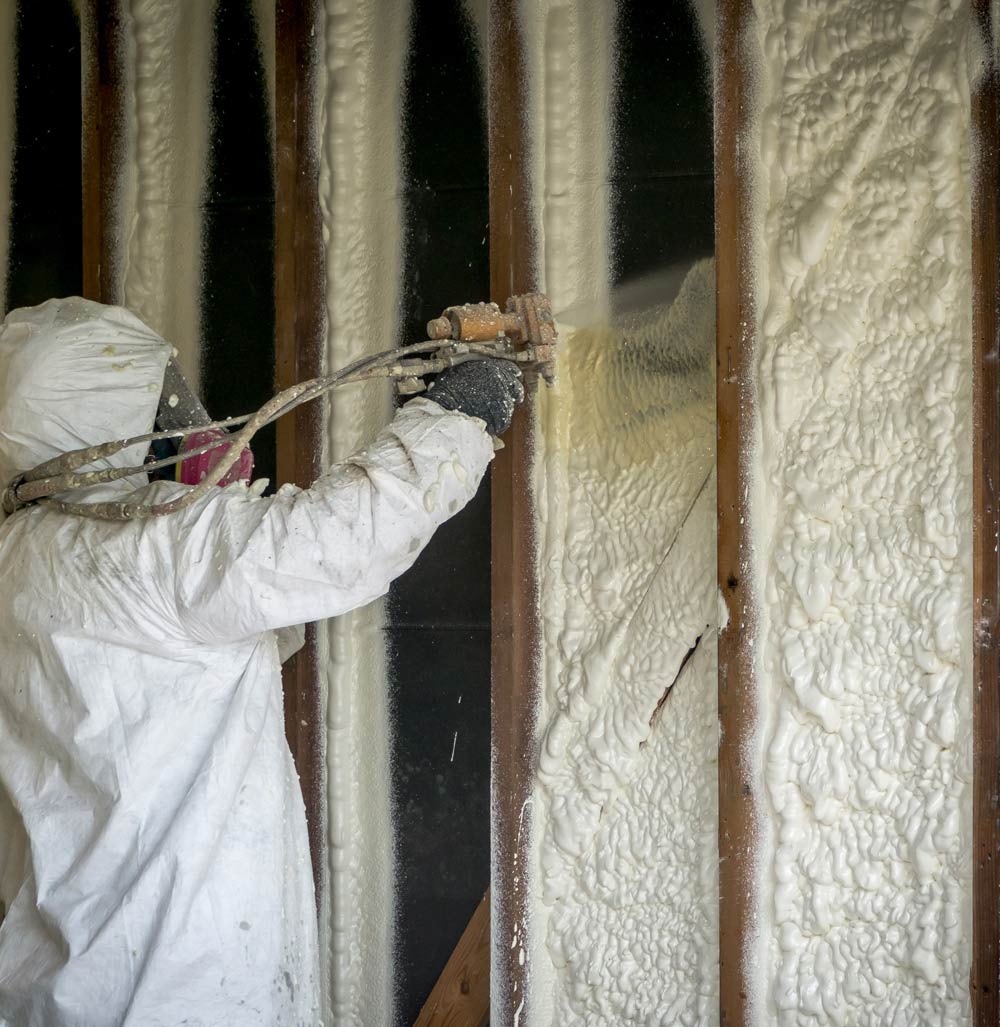 Soy Plant Foam Insulation-Environmentally Friendly Foam